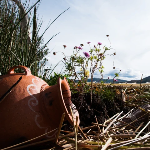 Vase dans la paille